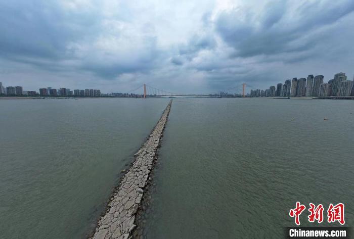 图为近日长江武汉段水位退落现“江中道路”　郑子颜　摄