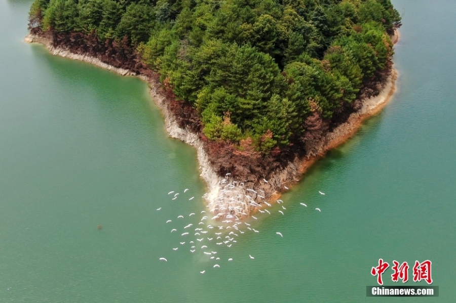探访南岭国家公园（拟建）南水湖区域：生态环境日益改善