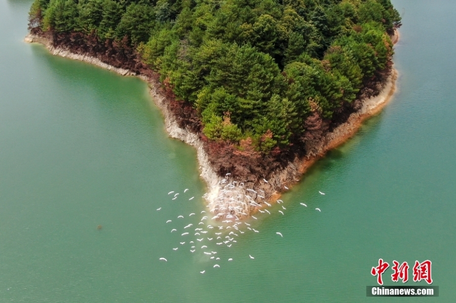 探访南岭国家公园（拟建）南水湖区域：生态环境日益改善