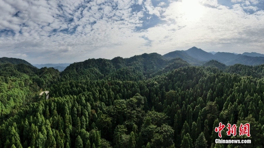 走进南岭国家公园（拟建）天井山区域：森林覆盖率达97.6%