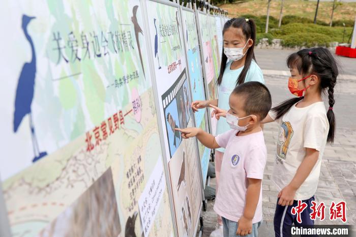 图为小朋友们了解鸟类知识。　北京市园林绿化局供图