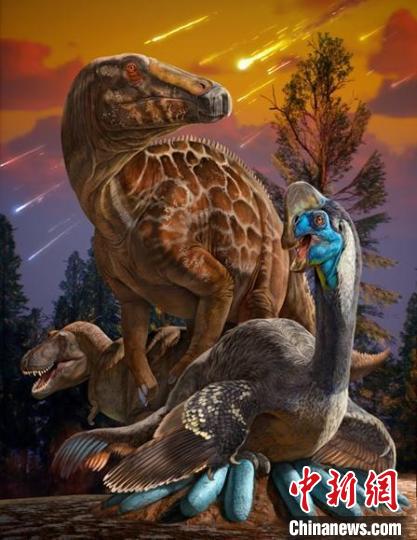 陜西山陽盆地的三類恐龍化石復原效果圖。　趙闖 繪圖 攝