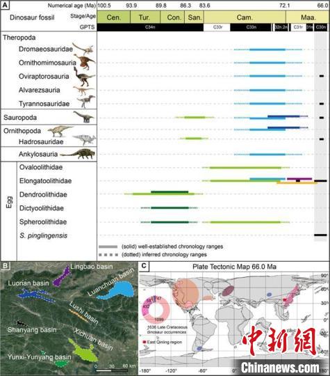 图AB展示秦岭东部盆地恐龙多样性在晚白垩世变化；图c为目前发现恐龙化石点6600万年前全球分布情况。　研究团队 供图