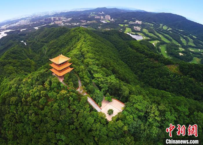 广东出台森林旅游发展规划促进人与自然和谐共生