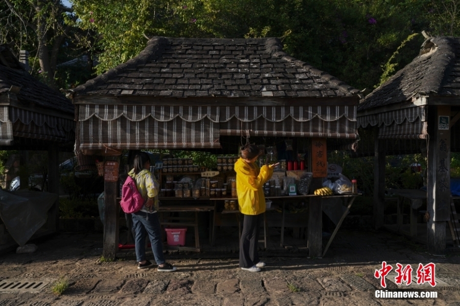 探访云南景迈山中的“千年布朗古寨”