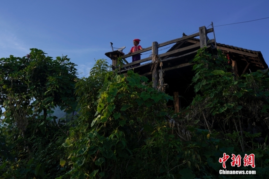 探访云南景迈山中的“千年布朗古寨”