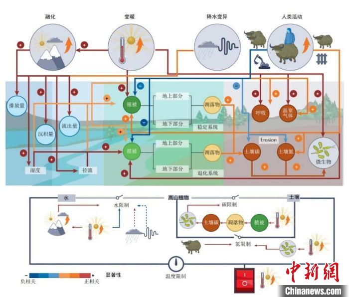 中国科研人员揭示青藏高原上的碳氮循环变化及驱动机制
