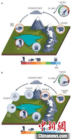 积极的恢复和碳减排措施有助于实现可持续发展的碳汇功能。　中科院成都生物研究所供图