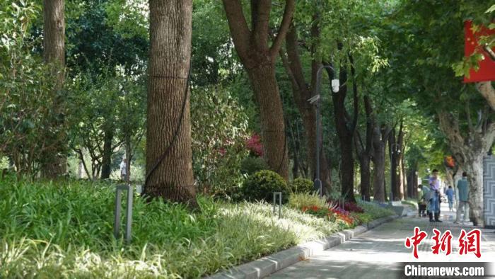 静安雕塑公园拆除围栏，与城市道路等融为一体。　上海市绿化市容局供图