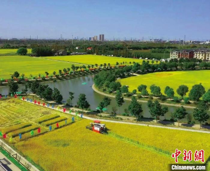 上海不断提升城市生态空间品质。　上海市绿化市容局供图