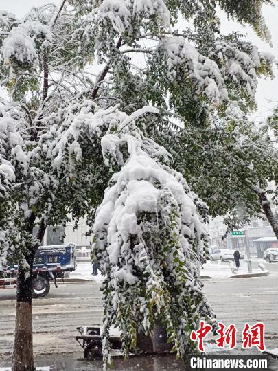 吉林遭遇强降水雨雪交加延缓秋收进程