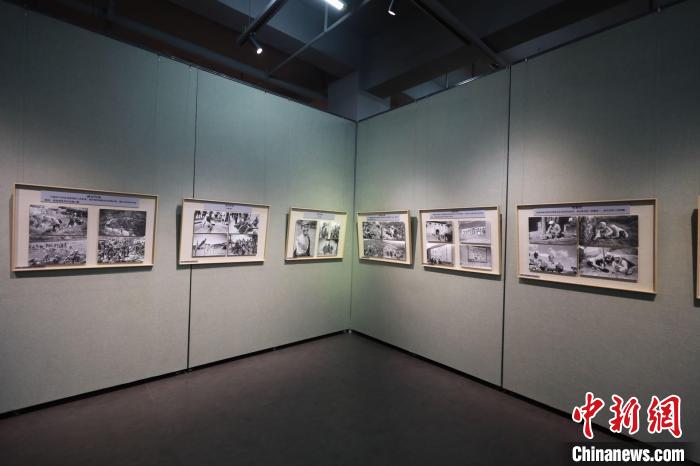 中国历史研究院征集海外中共珍稀文献展展品。　石启立 摄