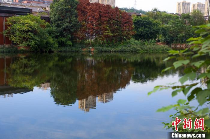 重庆两江新区的肖家沟水库是嘉陵江水系跳墩河的源头，如今已打造成鱼翔浅底的生态之湖。　梁钦卿 摄