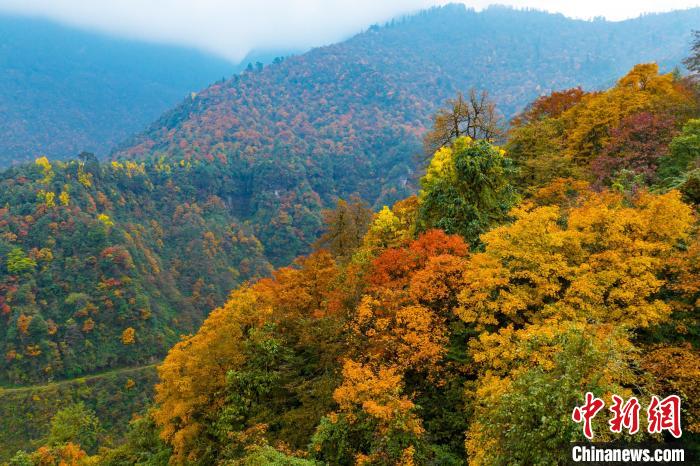四川洪雅瓦屋山秋景如画