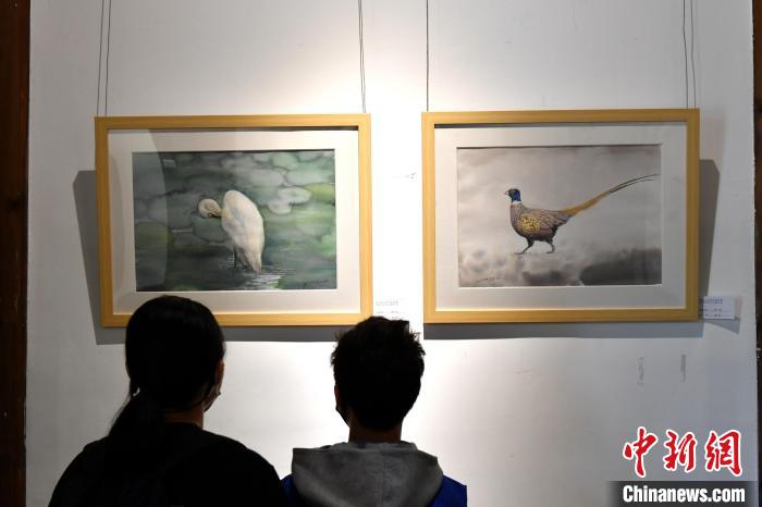 福建省首次举办鸟类生态主题艺术展