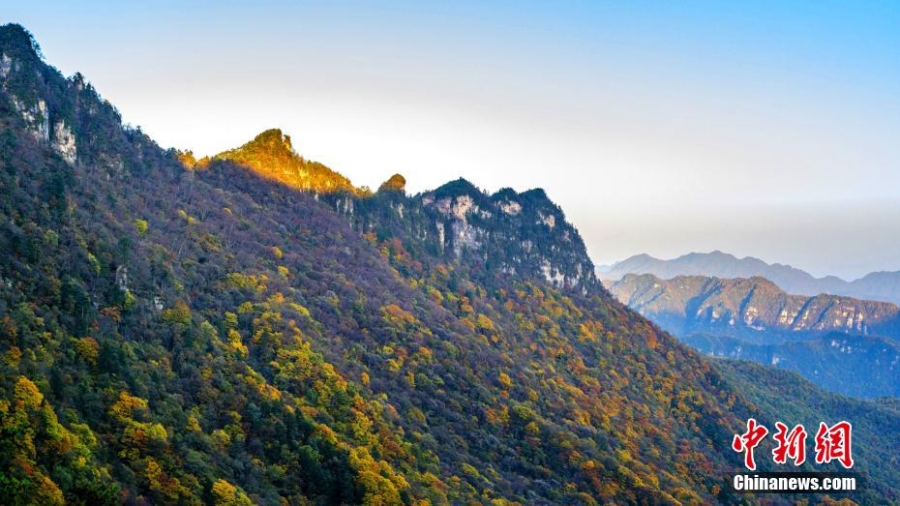 湖北神农架迎赏秋“黄金期” 山川峡谷秋意十足