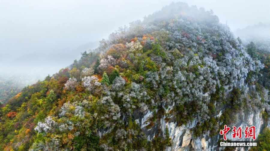 湖北神农架迎赏秋“黄金期” 山川峡谷秋意十足