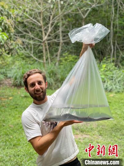 论文第一作者手拿一只美洲肺鱼，他刚在巴西的亚马逊研究所进行完录音(图源：Basil Minder)。　施普林格·自然 供图