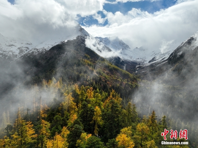 西藏林芝秋日风光无限