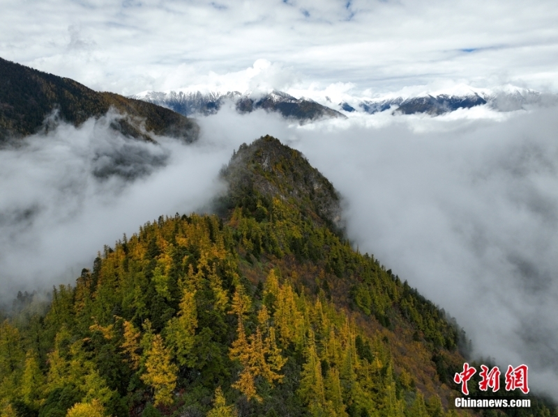 西藏林芝秋日风光无限