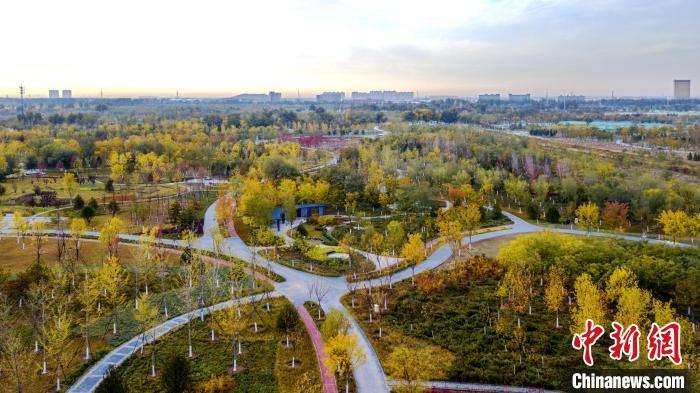 图为北京通州城市绿心森林公园。　北京市园林绿化局供图