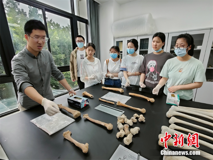 厦门大学人类学研究所师生进行人骨观察和测量分析。受访者供图
