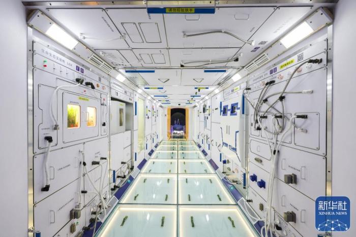 这是在第十四届中国航展上拍摄的中国空间站组合体展示舱的问天实验舱(11月9日摄)。新华社记者 刘大伟 摄