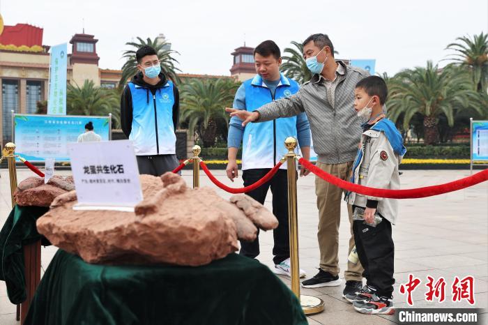 图为2022年度江西省古生物化石保护利用科普宣传活动南昌分会场，一位家长带着孩子在观看恐龙蛋化石。　刘力鑫 摄