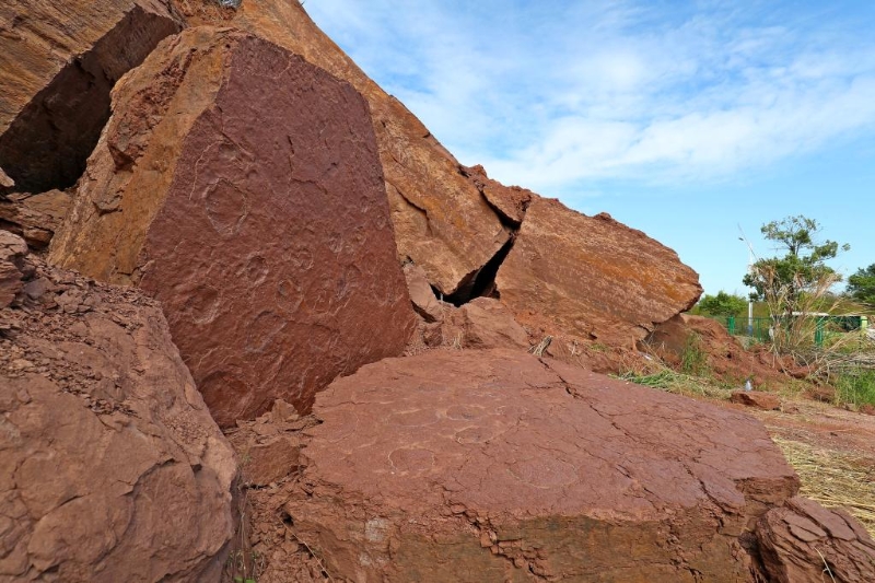 太古发现丨福建发现大面积对于板保存的恐龙足迹化石