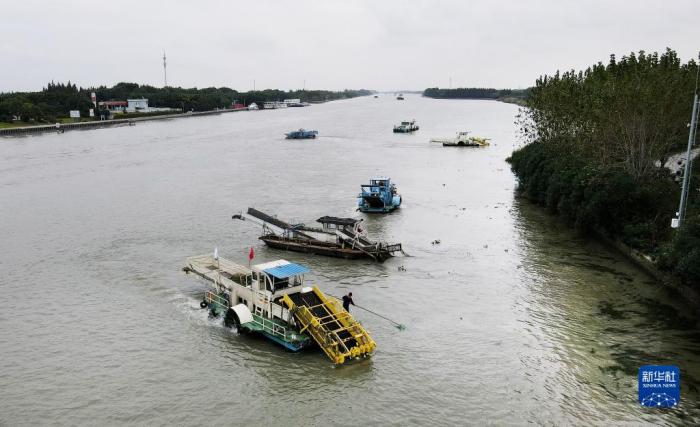 苏浙沪三地的保洁船在太浦河水域联合清理水面浮游植物(2020年10月15日摄，无人机照片)。当日，来自苏州市吴江区、上海市青浦区和嘉兴市嘉善县的三名河长在位于长三角生态绿色一体化发展示范区的苏浙沪交界水域太浦河流域附近开展联合巡河活动。新华社记者 方喆 摄