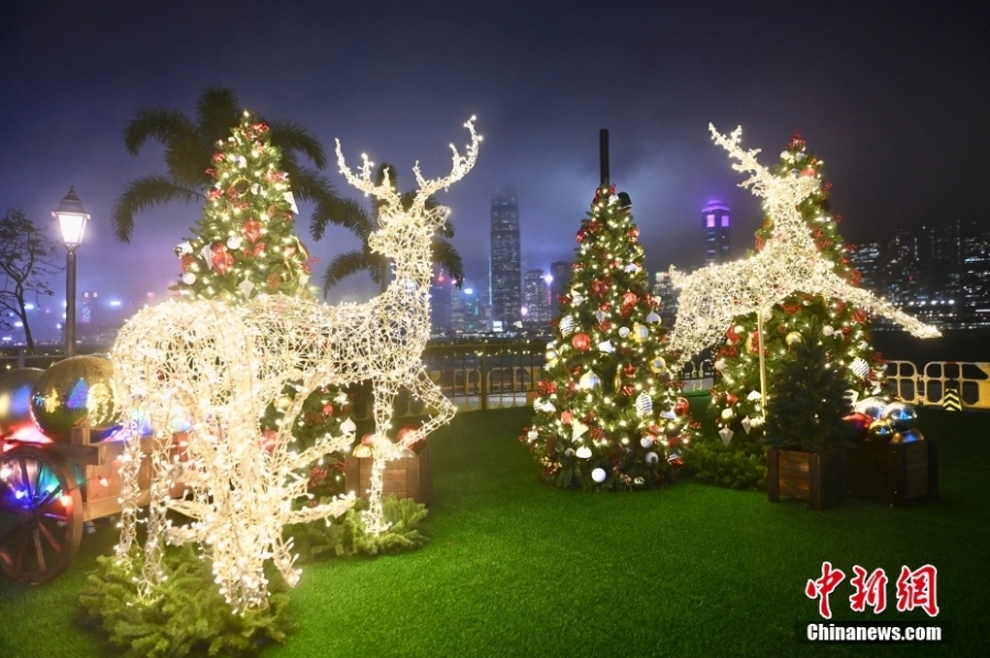 香港举行缤纷冬日巡礼活动 巨型圣诞树迎圣诞