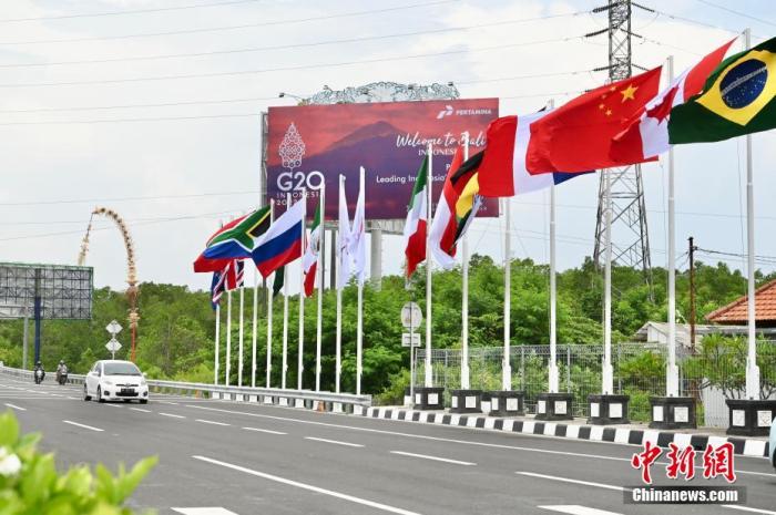 印尼巴厘岛道路上G20成员国的国旗及欢迎海报。 <a target='_blank' href='/'>中新社</a>记者 李志华 摄
