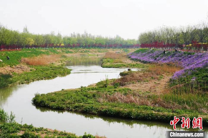 经过综合治理后的邢台市任泽区牛尾河河段。(资料图) 刘云洲 摄