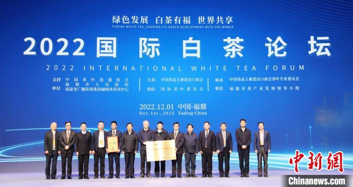 助力白茶产业发展国际白茶论坛在福建福鼎举行