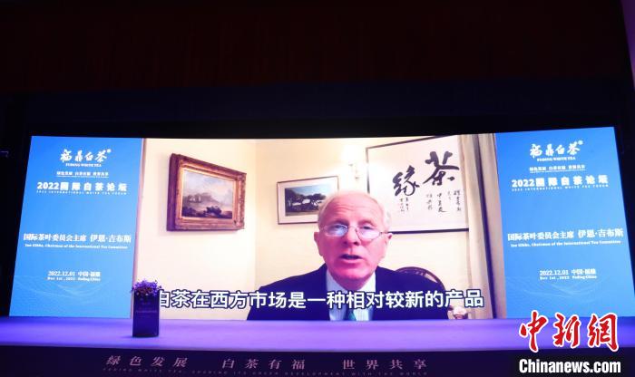 国际茶叶委员会主席伊恩·吉布斯视频致辞。　林榕生 摄