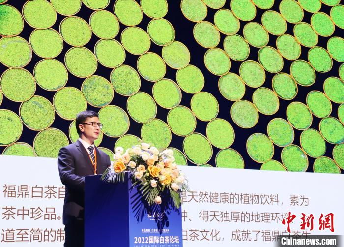 福鼎市市长周春海推介世界白茶中心项目。　林榕生 摄