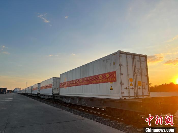 中国内陆首趟陆海新通道中老铁路冷链水果专列首发