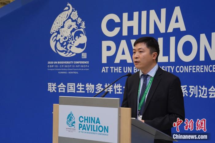 大自然保护协会北京代表处对外事务总监徐欣在边会案例分享上发言。 尹灵 摄