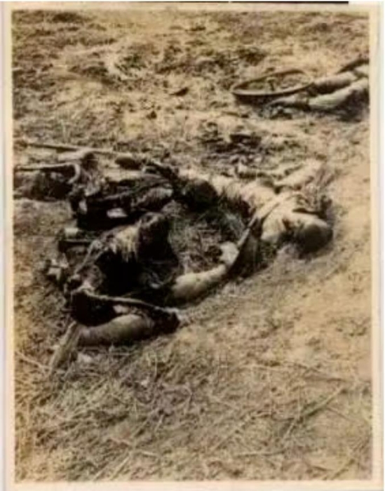 南京郊外被日军屠杀的中国人尸体。图源：侵华日军南京大屠杀遇难同胞纪念馆网站