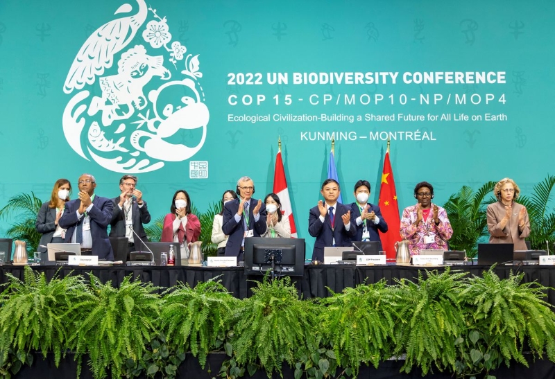 12月19日，《生物多样性公约》第十五次缔约方大会（COP15）第二阶段会议通过“昆明-蒙特利尔全球生物多样性框架”。（图源：路透社）
