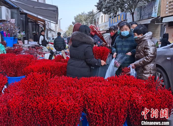 图为春节期间的花市几乎成为“红色汪洋”。　杨英琦 摄