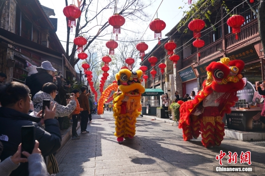 云南昆明：狮舞龙腾庆新春