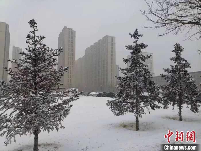 内蒙古7盟市迎兔年春节后首雪