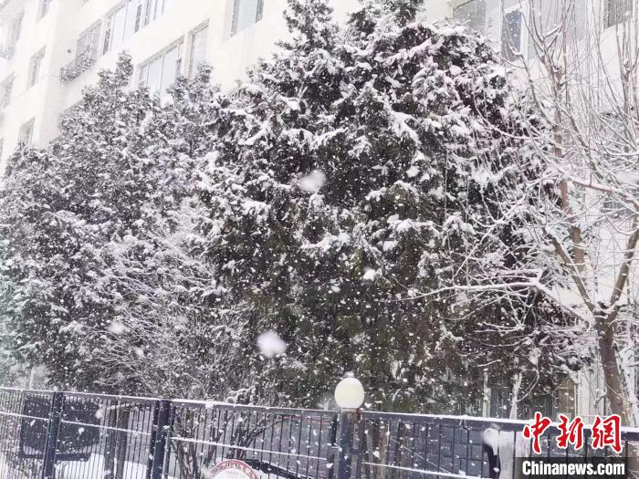 图为呼和浩特迎降雪。　李爱平 摄