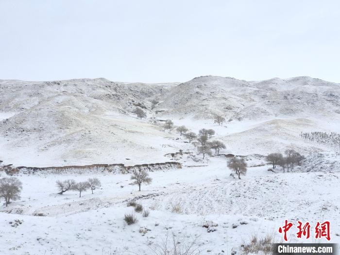 图为内蒙古迎降雪。　内蒙古自治区气息局供图