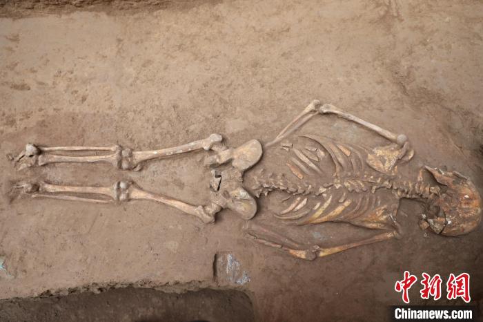 陶渠M29“俯身葬”殉人。　陕西省考古研究院供图