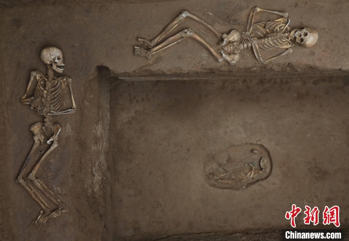 陶渠M32墓室二层台殉人与墓室底部腰坑殉狗。　陕西省考古研究院供图