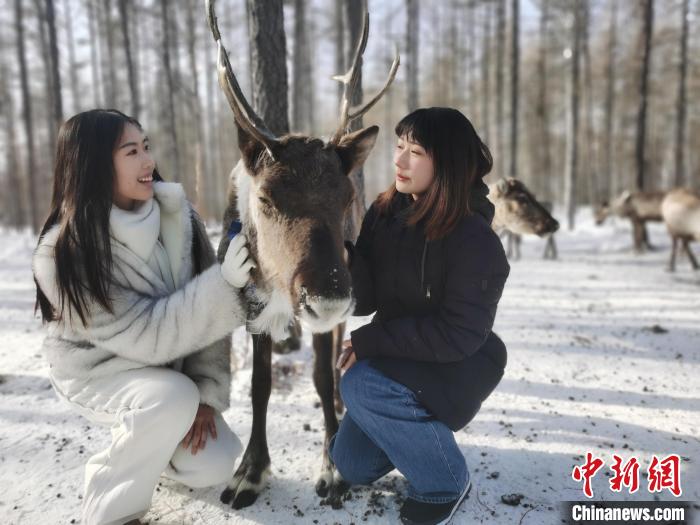 图为与驯鹿合影的台湾青年们。　李爱平 摄