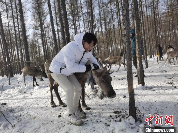 图为与驯鹿合影的台湾青年们。　李爱平 摄