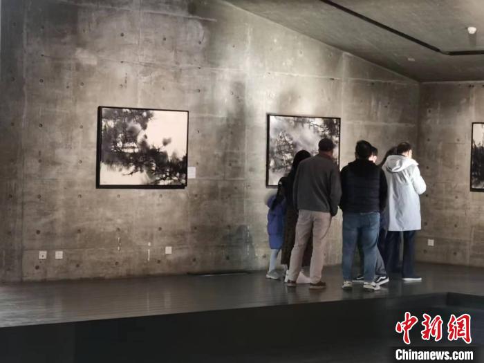 数次在中国办展， 叶星千画作越来越多地被观众理解和欣赏。　陈静 摄